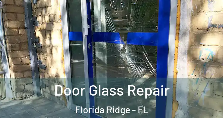  Door Glass Repair Florida Ridge - FL