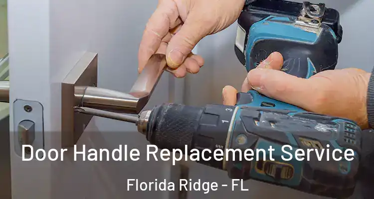  Door Handle Replacement Service Florida Ridge - FL