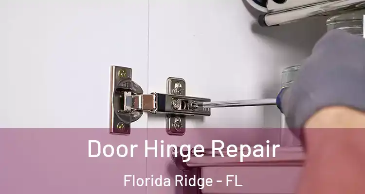  Door Hinge Repair Florida Ridge - FL