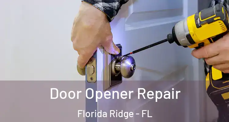  Door Opener Repair Florida Ridge - FL