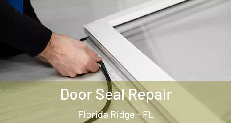  Door Seal Repair Florida Ridge - FL
