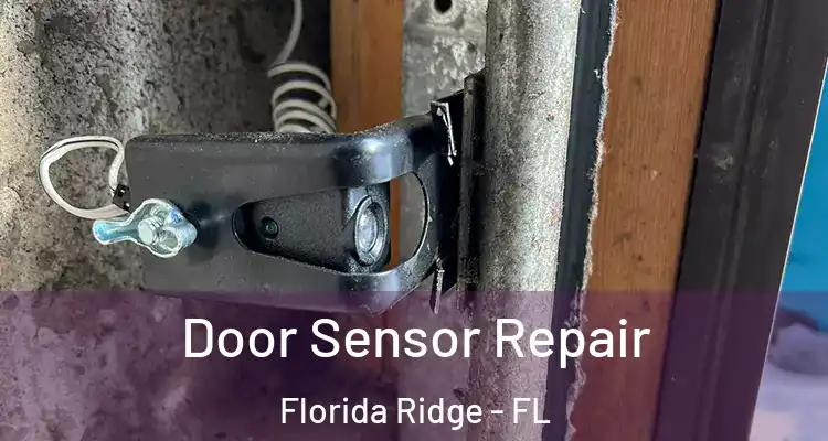  Door Sensor Repair Florida Ridge - FL