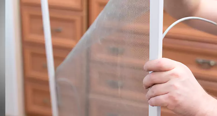 Privacy Mesh Screen Door Installation in Florida Ridge, FL