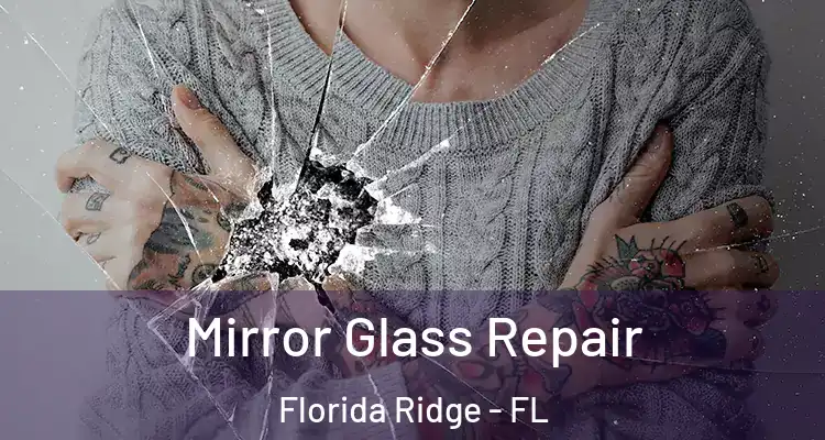  Mirror Glass Repair Florida Ridge - FL