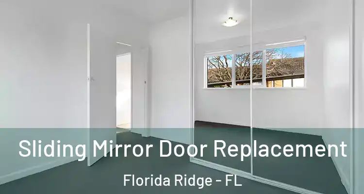  Sliding Mirror Door Replacement Florida Ridge - FL